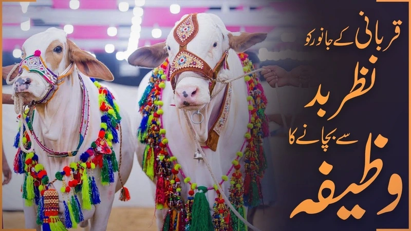 Qurbani Ke Janwar Ko Nazar e Bad Se Bacha Ne  Ka Wazifa | Eid Ul Adha 2019